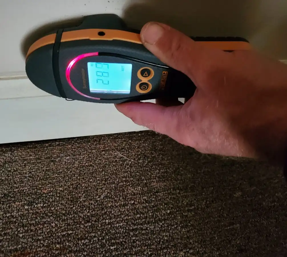 Moisture detection at baseboard during Sewage Cleanup & Sanitation in Springettsbury